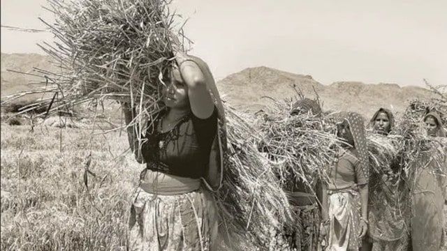 Africké zemědělství práce na poly